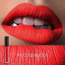 Load image into Gallery viewer, Sexy Liquid Lip Gloss Matte Long Lasting Waterproof Cosmetic